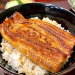 Unagi Hashimoto - 数量限定サービスランチ うな丼