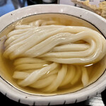 讃岐うどん 白庵 - ひやひや大盛り〜