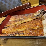 Unagi Nakajima - 