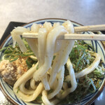 Marugame Seimen - 