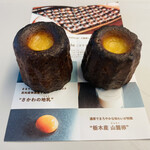 タミルズ オオテマチ - コリドーカヌレ