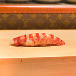 鮨 尚充 - 車海老