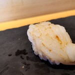 SUSHI TOKYO TEN、 - 富山の宝石　白エビ