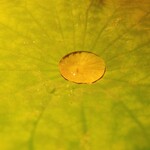 車力門 おの澤 - 