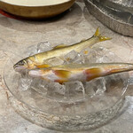 インフィニート ヒロ - 