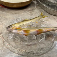 インフィニート ヒロ - 