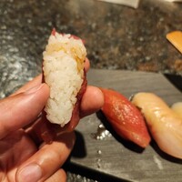 KINKA sushi bar izakaya 渋谷 - 