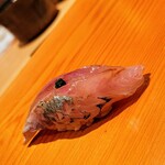 鮨 さかい - どんちっち鯵