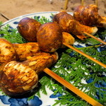 柳家 - チベット産松茸