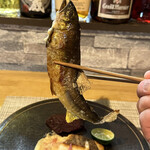 ビストロ セレニテ - 