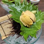 旬魚 たつみ - 赤雲丹のお造りアップ