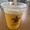 Blue Turtle Farm Mango Cafe