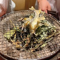 日本料理 丸しま - 