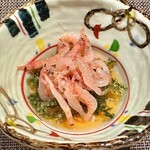 鮨がみ - 2023.5.  海ブドウと桜海老