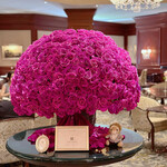 ザ ロビーラウンジ - 