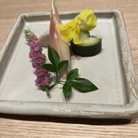 鳥カミ GARDEN CITY - 