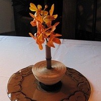 ヘイフンテラス - 蘭の花