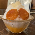 初音 - 氷あんず