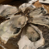 Oyster Lab