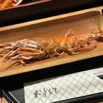 Irori An - Red Shrimp