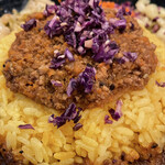 【2023年04月】カレーZ定食２種盛＠1,200円、ポークジンジャーキーマのアップ。