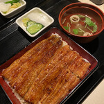 Unagi Mejiro Zorome - 