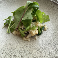 イリエスケープ - 