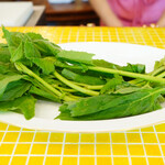 ラ・カーサ・ディ・テツオ オオタ - 