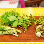 ラ・カーサ・ディ・テツオ オオタ - 