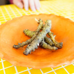 ラ・カーサ・ディ・テツオ オオタ - 