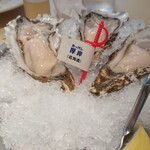 Oyster Bar ジャックポット - 