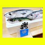 高知 アテと酒 ほたえる - 