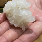 小松 弥助 - 赤いか