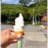 神津牧場 - 料理写真:牧場定番のソフトクリーム