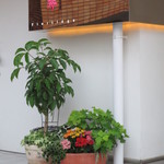 フロリレージュ - この日は猛暑日でした。