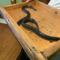 日本料理 梅林 - 