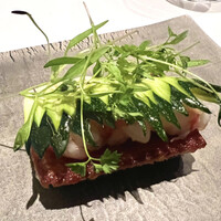 カンテサンス - 