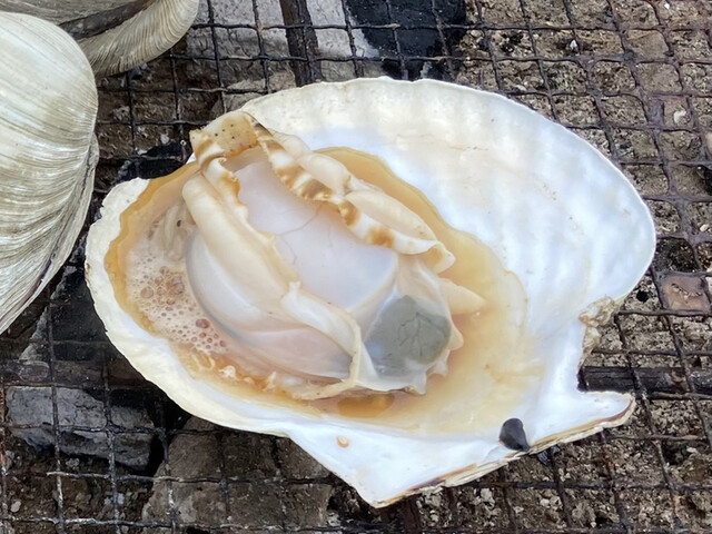 鮮魚とみ田 - 美田園（その他）の写真