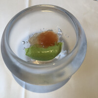 パトゥ - ウスイマメのジュレ　豆の風味がとても良い