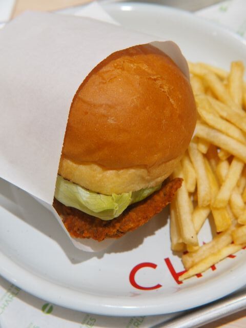 フライドバーガー 5 STRIPE RELAXED ZIP HOODIE - SKY // RAINBOW – Aviator Nation