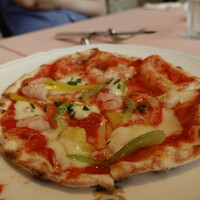 La Terrazza SABATINI - 