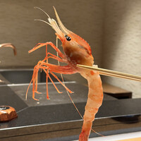 鮨 やまけん 銀座店 - 