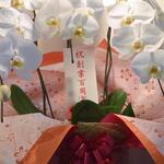 寿司・うなぎ 羽子吾 - お客さんからの祝い花