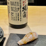 鮨 心白 - 握りとの位置関係はこんな感じ　牡丹海老が巨大なのがよくわかりますｗ