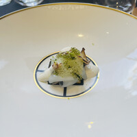 クイントカント - 