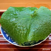 高麗橋桜花 - 山葵の葉で覆われた向付