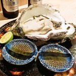 日本酒x酒肴 ささとら - 