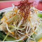 ラーメン もっけだの - 2023.7限定『冷し豆乳担々麺(食べるラー油つける)+C賞特典ネギ』の白髪ねぎ、糸唐辛子