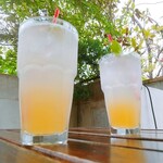 キュビエルタ - 