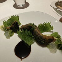 レフェルヴェソンス - 